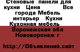 Стеновые  панели для кухни › Цена ­ 1 400 - Все города Мебель, интерьер » Кухни. Кухонная мебель   . Воронежская обл.,Нововоронеж г.